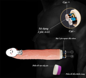Dương Vật Giả Rung Ngoáy 2 Pin Baile 10 cách sử dụng dương vật giả giống thật Baile 2 pin