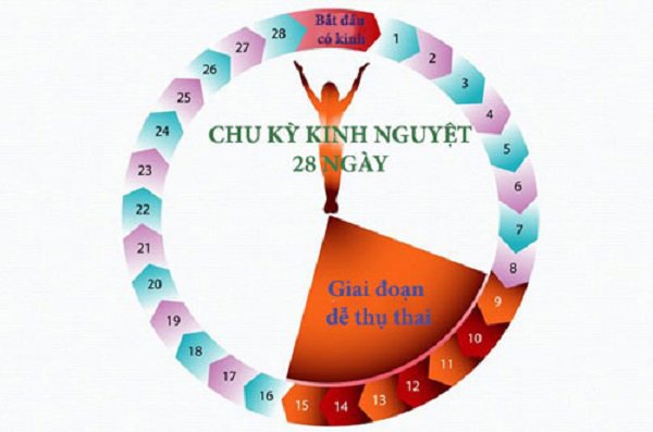 Phòng tránh thai: Các phương pháp hiệu quả và an toàn nhất 21 hieu qua cua 9 cach tranh thai tu nhien nhu the nao 1 1571388310 395 width600height397